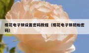 樱花电子锁设置密码教程（樱花电子锁初始密码）