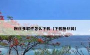 粉丝多软件怎么下载（下载粉丝网）