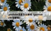 youtube流量怎么赚钱（youtube引流赚钱）