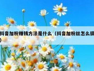 抖音加粉赚钱方法是什么（抖音加粉丝怎么搞）