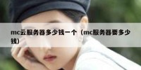 mc云服务器多少钱一个（mc服务器要多少钱）