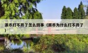 派币打不开了怎么回事（派币为什么打不开了）