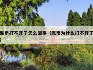 派币打不开了怎么回事（派币为什么打不开了）