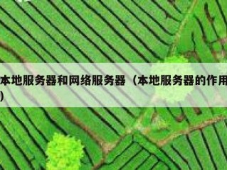 本地服务器和网络服务器（本地服务器的作用）