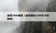 油管1000播放（油管播放1300万次的视频）