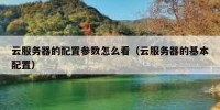 云服务器的配置参数怎么看（云服务器的基本配置）