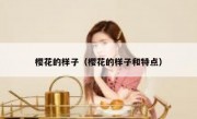 樱花的样子（樱花的样子和特点）