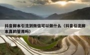 抖音脚本引流到微信可以做什么（抖音引流脚本真的管用吗）