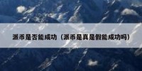 派币是否能成功（派币是真是假能成功吗）