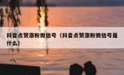 抖音点赞涨粉微信号（抖音点赞涨粉微信号是什么）