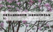 抖音怎么加粉丝团灯牌（抖音粉丝灯牌怎么加入）
