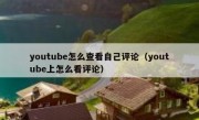youtube怎么查看自己评论（youtube上怎么看评论）