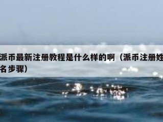 派币最新注册教程是什么样的啊（派币注册姓名步骤）