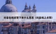 抖音在线点赞下单什么意思（抖音线上点赞）