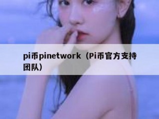 pi币pinetwork（Pi币官方支持团队）