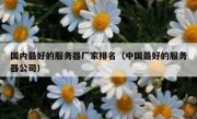 国内最好的服务器厂家排名（中国最好的服务器公司）