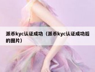 派币kyc认证成功（派币kyc认证成功后的图片）