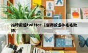 推特搬运twitter（推特搬运林毛毛微博）