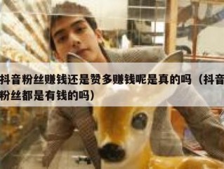 抖音粉丝赚钱还是赞多赚钱呢是真的吗（抖音粉丝都是有钱的吗）