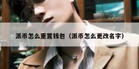 派币怎么重置钱包（派币怎么更改名字）