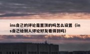 ins自己的评论是置顶的吗怎么设置（ins自己给别人评论好友看得到吗）