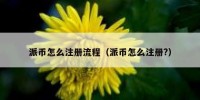 派币怎么注册流程（派币怎么注册?）
