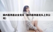 国内服务器企业龙头（国内服务器龙头上市公司）
