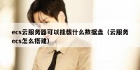 ecs云服务器可以挂载什么数据盘（云服务ecs怎么搭建）