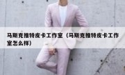 马斯克推特皮卡工作室（马斯克推特皮卡工作室怎么样）