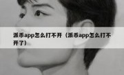 派币app怎么打不开（派币app怎么打不开了）