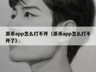 派币app怎么打不开（派币app怎么打不开了）