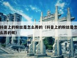 抖音上的粉丝是怎么弄的（抖音上的粉丝是怎么弄的呢）