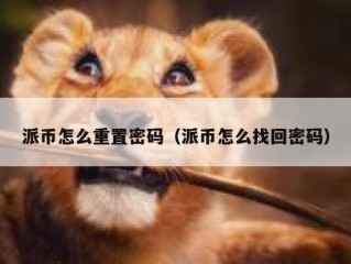 派币怎么重置密码（派币怎么找回密码）