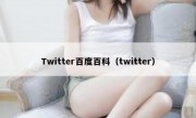 Twitter百度百科（twitter）