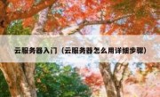 云服务器入门（云服务器怎么用详细步骤）