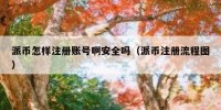 派币怎样注册账号啊安全吗（派币注册流程图）