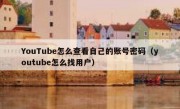 YouTube怎么查看自己的账号密码（youtube怎么找用户）