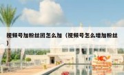 视频号加粉丝团怎么加（视频号怎么增加粉丝）