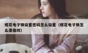 樱花电子锁设置密码怎么设置（樱花电子锁怎么录指纹）