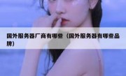 国外服务器厂商有哪些（国外服务器有哪些品牌）