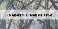 云服务器部署cs（云服务器部署飞牛os）
