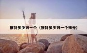 推特多少钱一个（推特多少钱一个账号）
