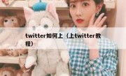 twitter如何上（上twitter教程）