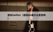 想玩twitter（想玩kb是什么意思啊）