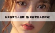 服务器有什么品牌（服务器有什么品牌好）