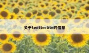 关于twitterlite的信息