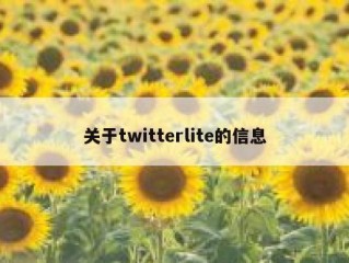 关于twitterlite的信息