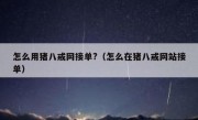 怎么用猪八戒网接单?（怎么在猪八戒网站接单）