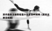 派币最新注册教程是什么意思啊视频（派币注册流程图）