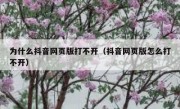 为什么抖音网页版打不开（抖音网页版怎么打不开）